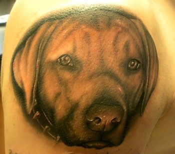 Tattoos - Jay Michalak - black and grey dog portrait
